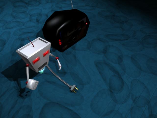 The robot