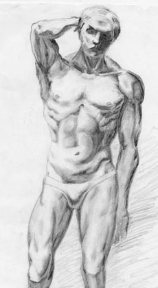 Male Anatomy